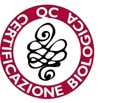 q-cert-logo