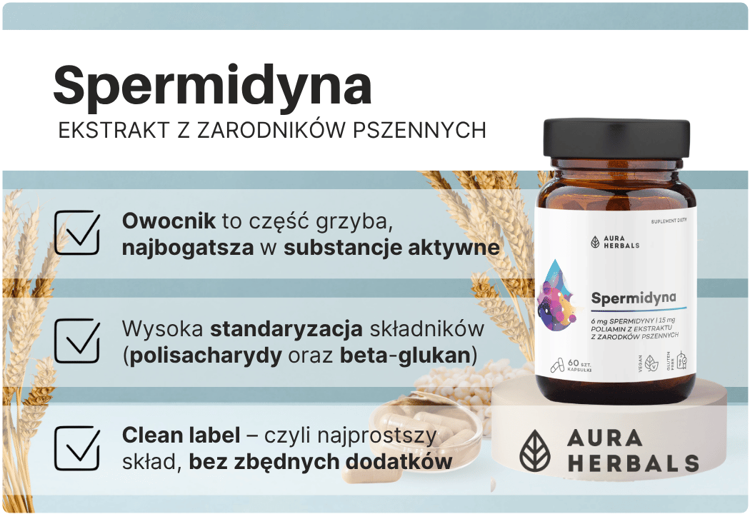 Spermidyna Poliamin z Ekstraktu z Zarodków Pszennych 6 mg (60 kaps) Aura Herbals