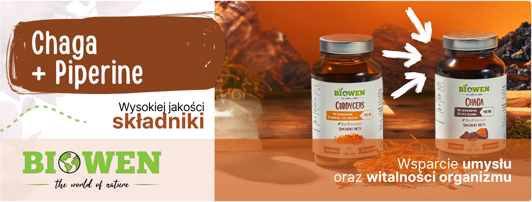 Grzyby Chaga (90 kaps)