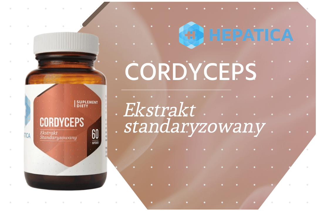 Kordyceps Ekstrakt Standaryzowany 60 kapsułek Hepatica