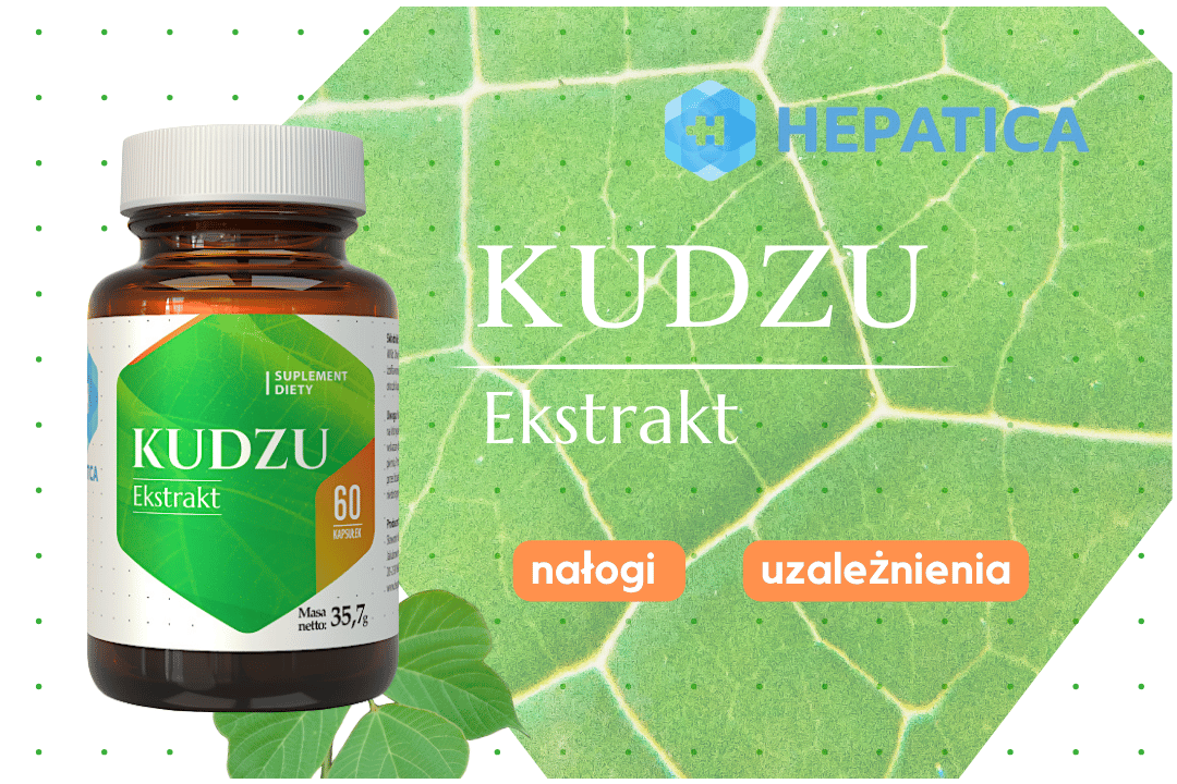 Kudzu Ekstrakt Opornik Łatkowaty 500 mg (60 kaps) Hepatica