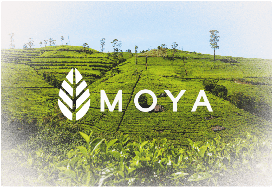 Moya