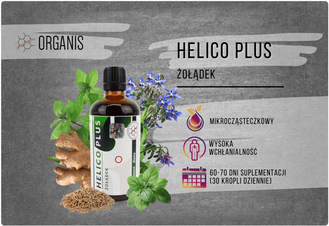 Helico Plus Żołądek Ekstrakt 100 ml Organis