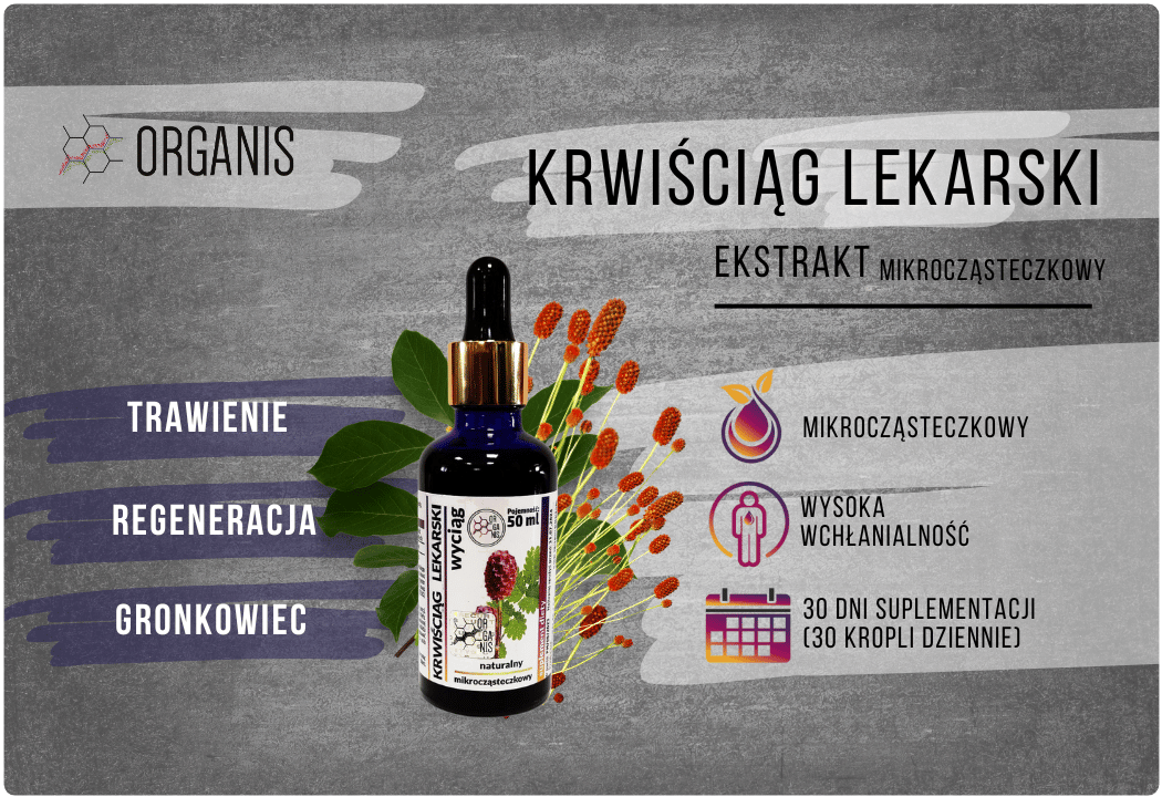 Krwiściąg Lekarski Naturalny Ekstrakt Mikrocząsteczkowy 50 ml Organis