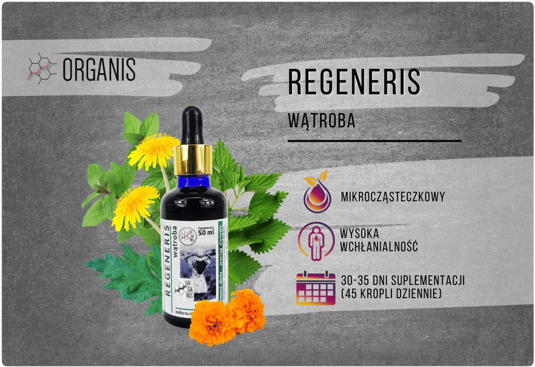Regeneris Wątroba Ekstrakt Mikrocząsteczkowy 50 ml Organis