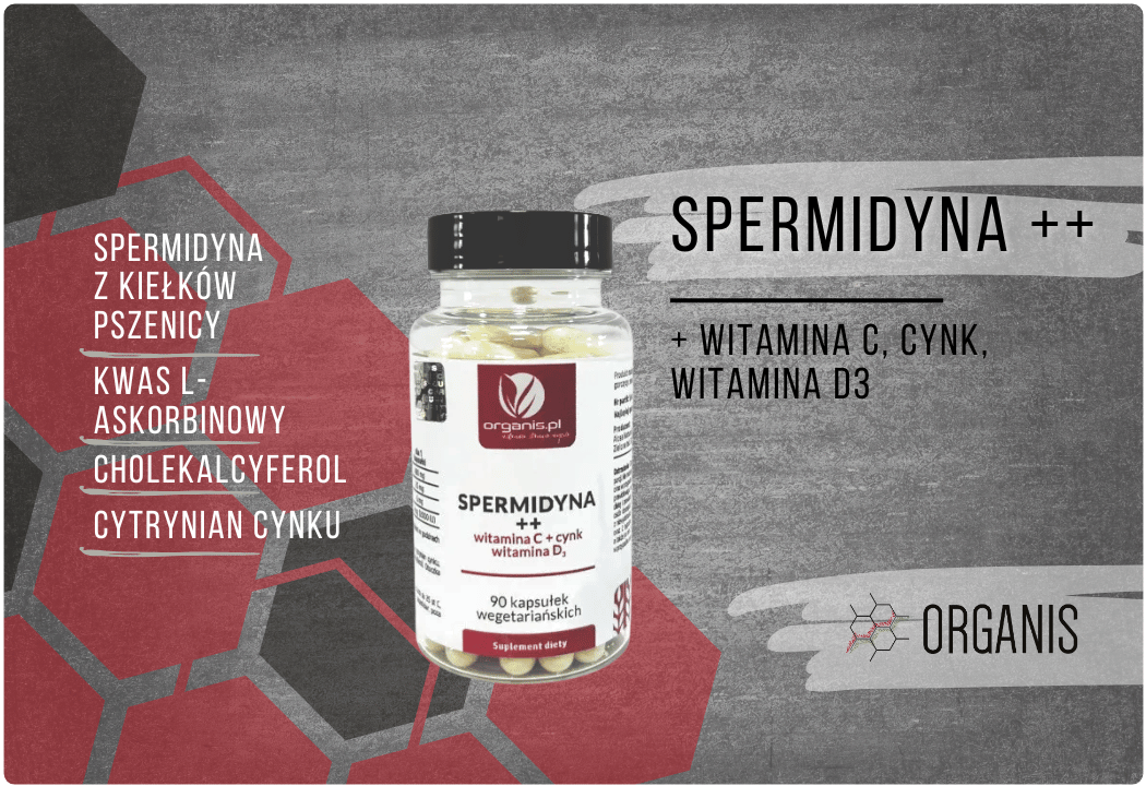 Spermidyna ++ Witamina C D3 Cynk (90 kaps) Organis