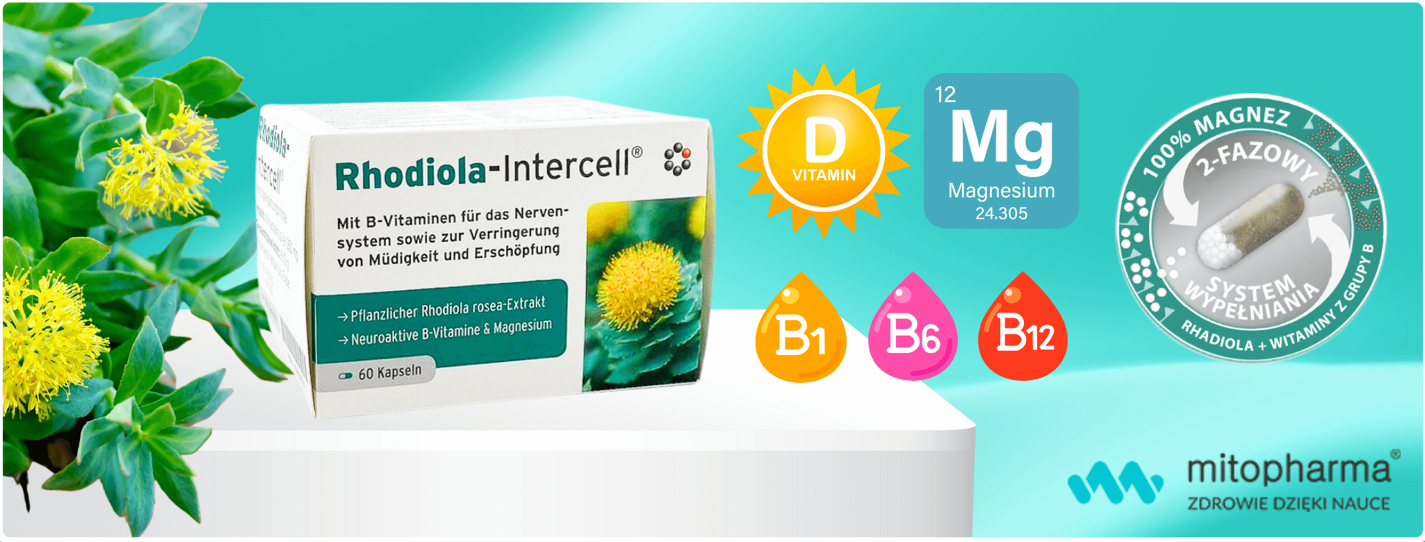 Rhodiola Mito-Pharma