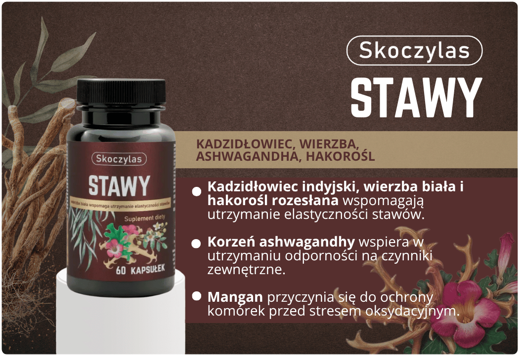 Kadzidłowiec w kapsułkach z wierzbą, ashwagandhą i hakoroślą, Stawy Marek Skoczylas, 60 kapsułek