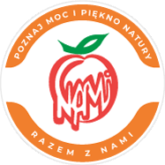 Nami Logo